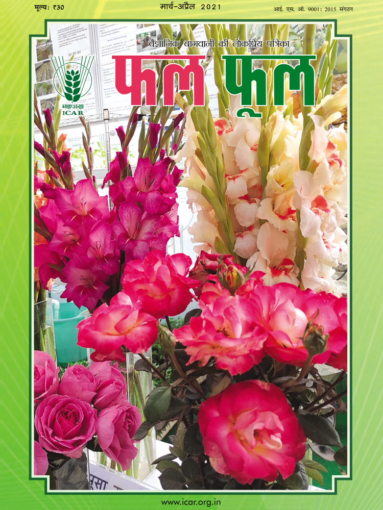 ICAR - Phal Phul Magazine